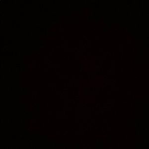 Meet your Posher, Fiorella